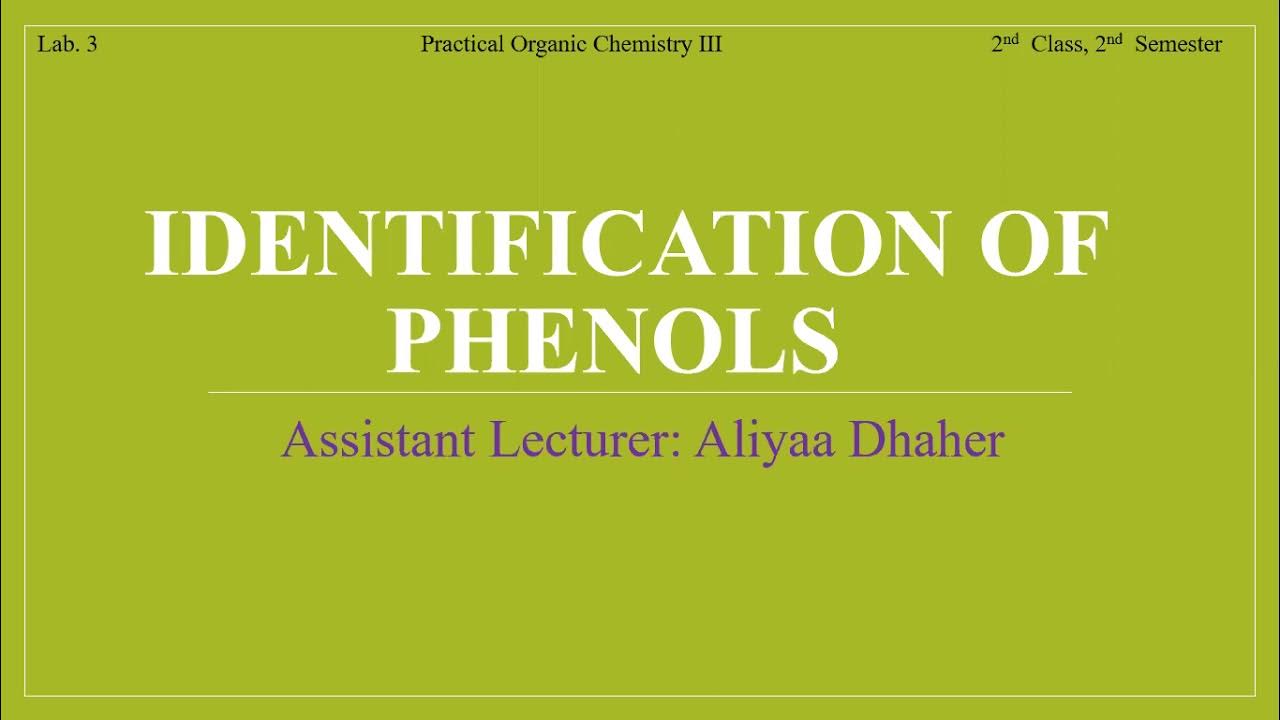 كيمياء عضوية عملي / Identification of Phenols / lab 3 YouTube
