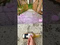 Breaking glass bottle⚠️🔥Crushing Crunchy &amp; Soft Things_ #asmr #shorts #asmrsound #satisfyingvideo