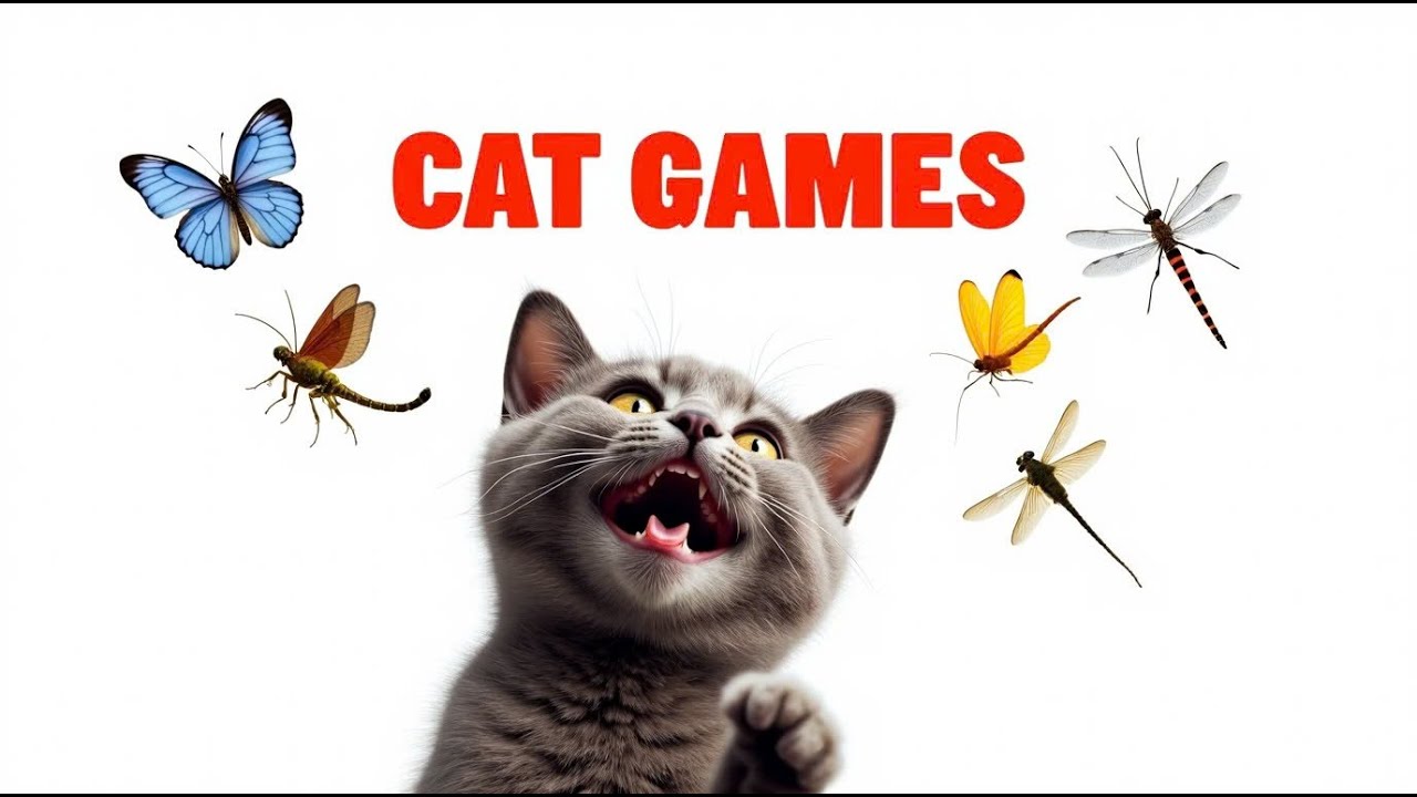 고양이 게임 마우스 광기 & 곤충의 즐거움 🐛 Game For Cat 🐾 Vol 103 | 4K 60 FPS