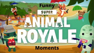 Super Animal Royale Funny Moments