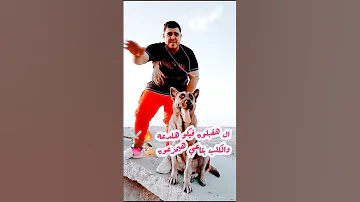 في2025 ربنا يسترها علينا Rap اكسبلور تصميمي حالات واتس تصميم فيديوهات جديد لايك Rapdz 