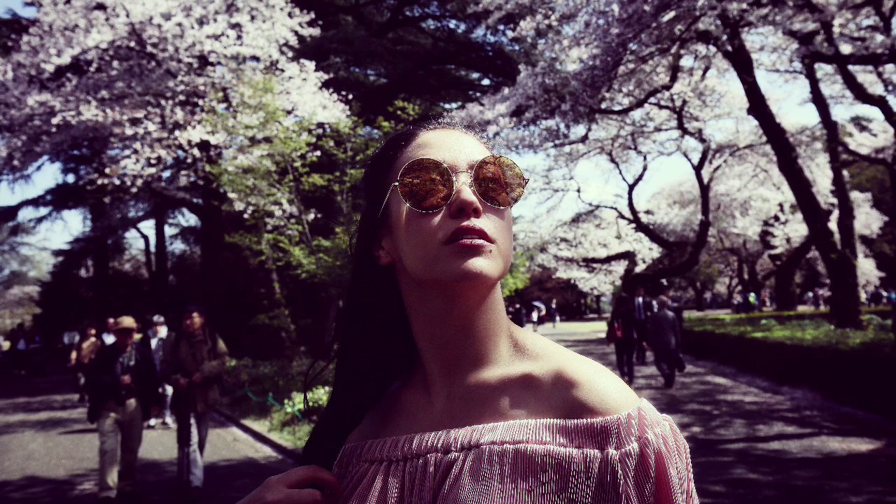 wildflowers Tom Petty YouTube