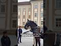Did someone order an Uber at the Spanish Riding School?  #lipizzaner
