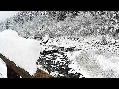 Neve in montagna 2017 - Video relax, la neve che cade sugli alberi e nell'acqua - Torrenti innevati