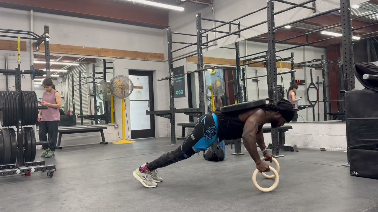 45lb Weighted Ring Push Up 