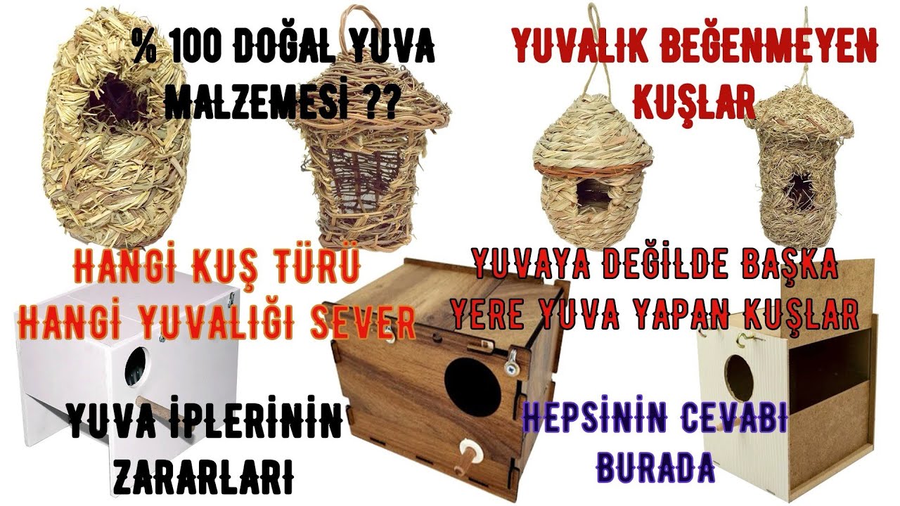 Yuvalığa Girmeyen Kuşlara Ne Yapılmalı? | Yuva İpine Son | Doğal Yuva Malzemesi