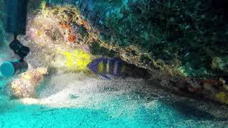 Jervis Bay 6 6 2021