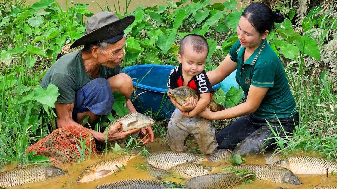 Meet a giant school of fish in an abandoned pond, catch fish, trap fish ...