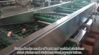 Video of Mushroom Sorting Machine