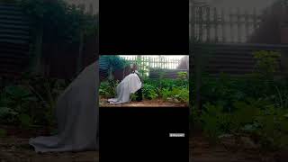 Berkebun  shorts fyp youtubeshorts kebun