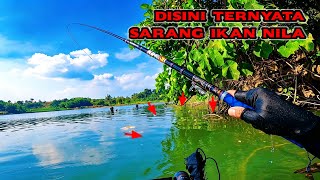 Dont Test My Patience Found A Fish Nest But Its So Frustrating  Tilapia Fishing At Pondok R