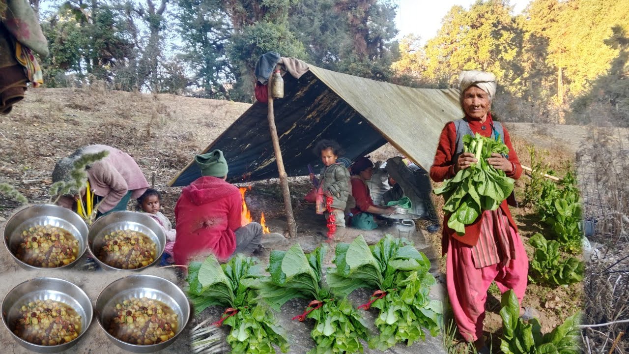 organic food cooking in countryside || Nepal🇳🇵|| lajimbudha ||