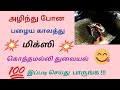 பழங்காலத்து அம்மி குழவியில் 😋 துவையல் அரைக்கும் முறை | How to prepare thuvayal in tamil |