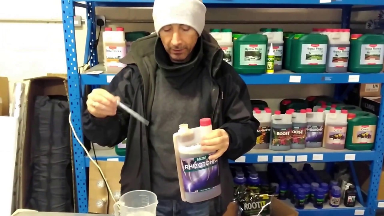 Using Canna Rhizotonic to help seedlings root