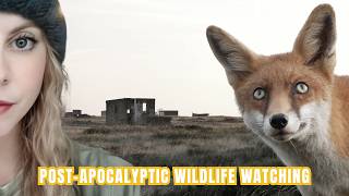 Strange & Beautiful Wildlife Watching - Dungeness Diaries