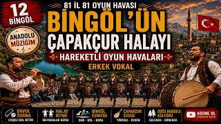 12 Bi̇ngöl - 81 İl 81 Oyun Havasi - Bi̇ngölün Çapakçur Halayi Erkek Vokal Bi̇ngöl Halayi