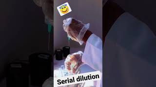 Serial dilution #microbiology #scienceexperiment #bacteria#amazingfacts #shorts