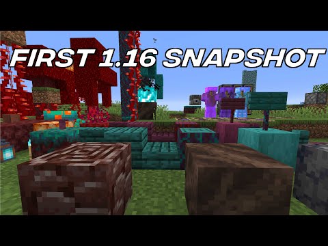 Minecraft News: First 1.16 Snapshot