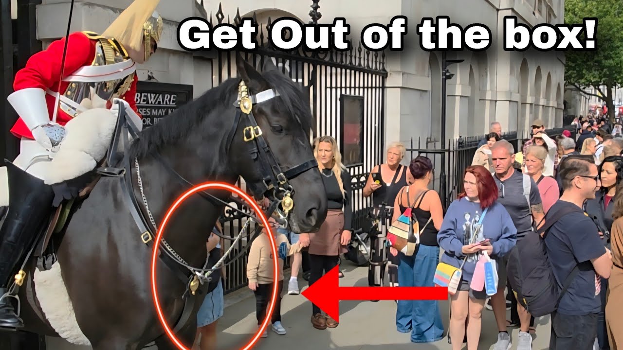 King's  Guard bends over and tells the tourist off Out of the Box!