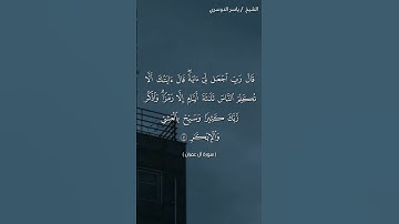 سورة آل عمران (٤٠ - ٤١) / ياسر الدوسري