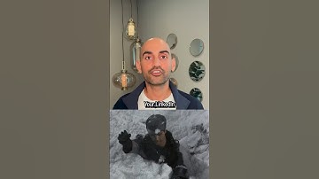 5 Steps To Optimize Your LinkedIn Profile TODAY! #linkedin #socialmedia