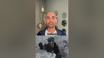 5 Steps To Optimize Your LinkedIn Profile TODAY! #linkedin #socialmedia