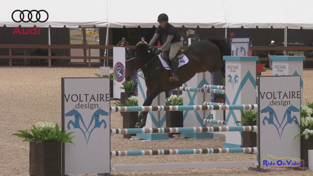 horseshoe bend NEE Premier Grand Prix Class 240 1.30m Jumpers April 2019