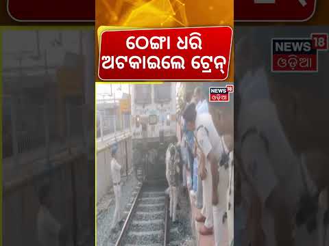 ହଠାତ୍ ମାଡ଼ି ଆସିଲା କଂଗ୍ରେସ| Congress Protest | Odisha Bandh News | Odisha Politics | Odia News