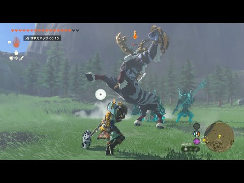 VSライネル(青:槍)【ゼルダの伝説 ティアーズ オブ ザ キングダム】