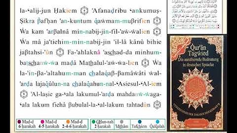 ختمة من مصحف التجويد باللغة الألمانية الصفحة رقم 489