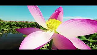 Луганск облысы, Красный Луч қаласында интимдік танысу Луганск облысы, Красный Луч қаласында интимдік танысу