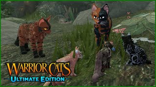 Kits for ShadowClan || Warrior Cats: Ultimate Edition