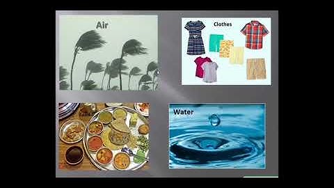 Karnataka State Board 3rd Std EVS Facilities for our use