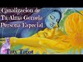 ✨CANALIZACION✨ DE TU ALMA GEMELA, PERSONA ESPECIAL lo que quiere decirte ahora.