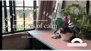 Crochet and chill: 1 Hour of Gentle Rain, Lo-fi, and Cat Naps 🌧️🐱✨