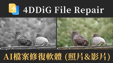 【影片畫質修復】拯救損毀、模糊、低畫質影像 | 4DDiG File Repair
