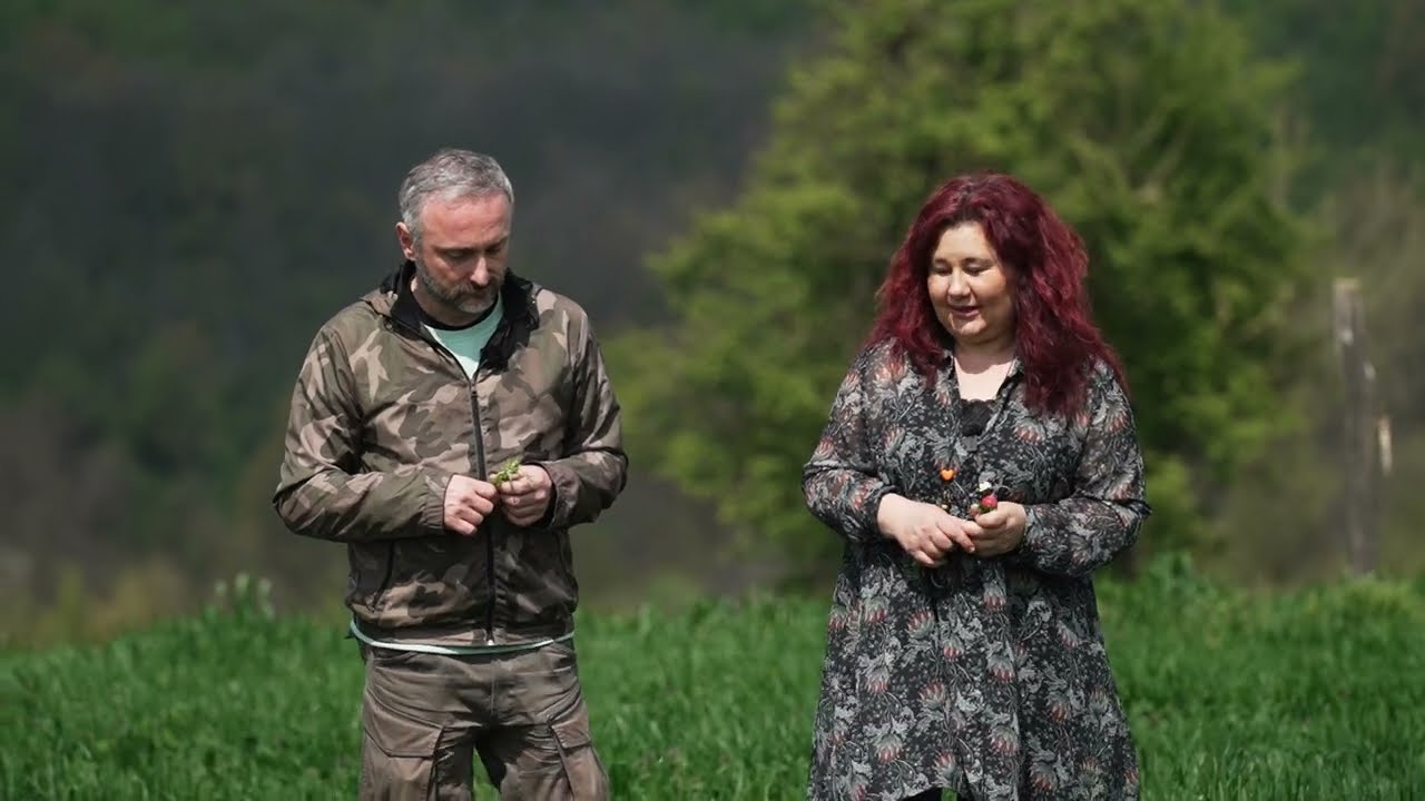 Kako se pravi sarmica od lista RENA i kako se koristi bilje u ORGANSKOJ proizvodnji