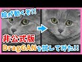 【技術デモ】非公式版Drag-GANをローカルに構築して遊んでみたら未来を感じた話【DragGAN-Unofficial】