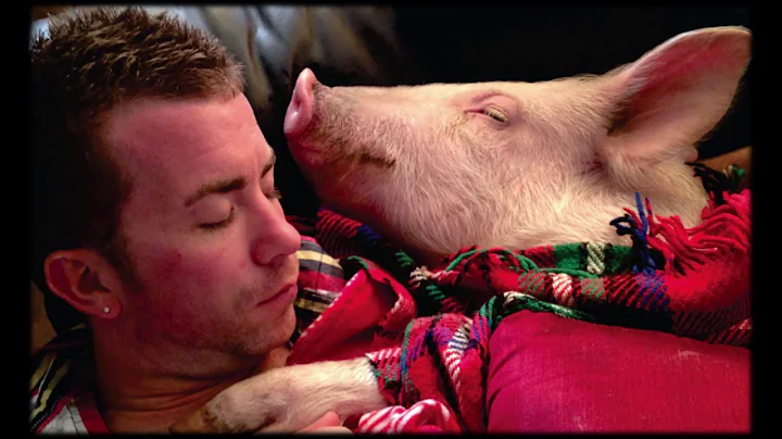 Esther the Wonder Pig | Steve Jenkins & Derek Walt...