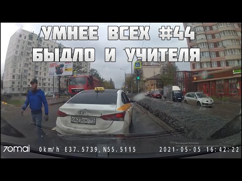 УМНЕЕ ВСЕХ #44. БЫДЛО И УЧИТЕЛЯ НА ДОРОГЕ