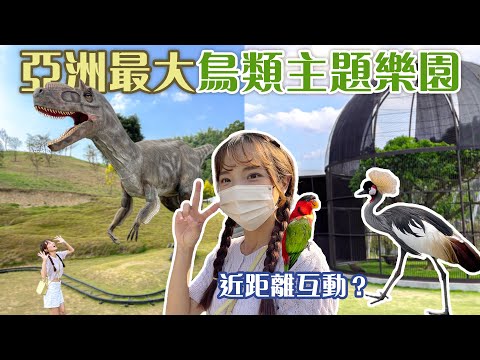 南投也有超美動物園！九九峰動物樂園新開幕~草屯人氣早午餐！紅薯餅、豆花搖搖冰，銅板美食好好吃｜Haven在南投