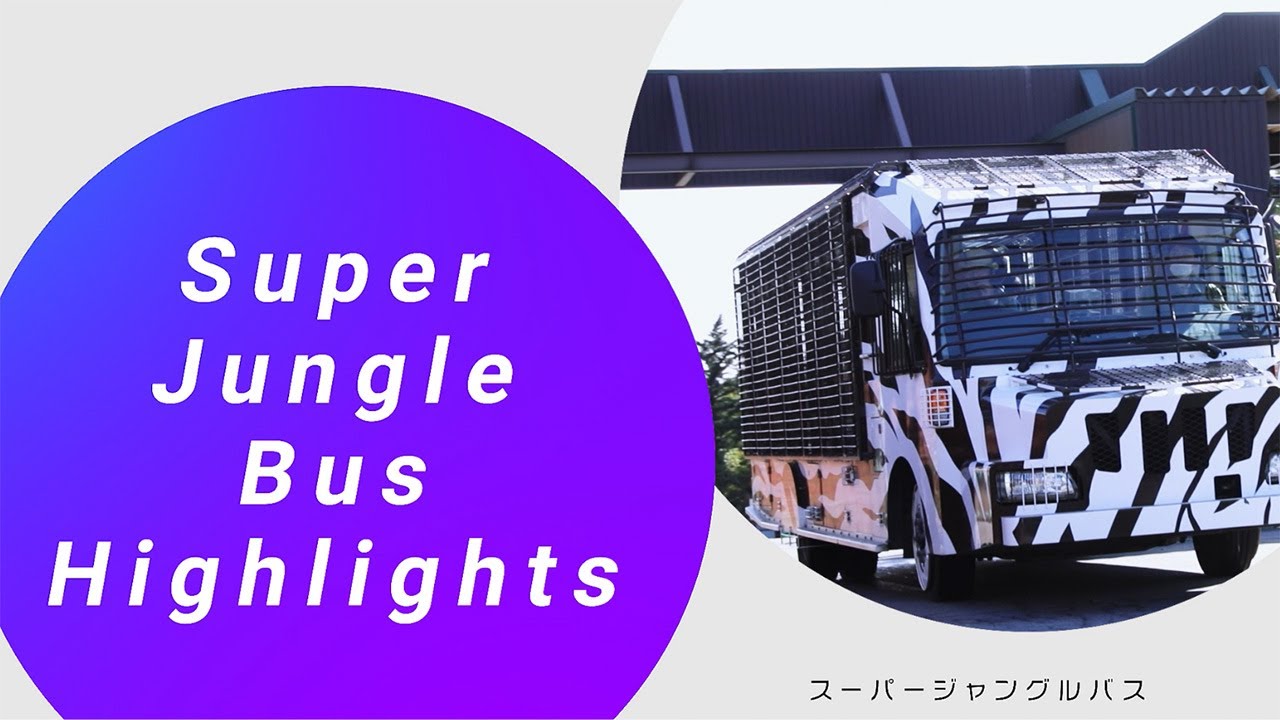 スーパージャングルバス 富士サファリパーク 公式サイト スーパージャングルバス 富士サファリパーク 公式サイト