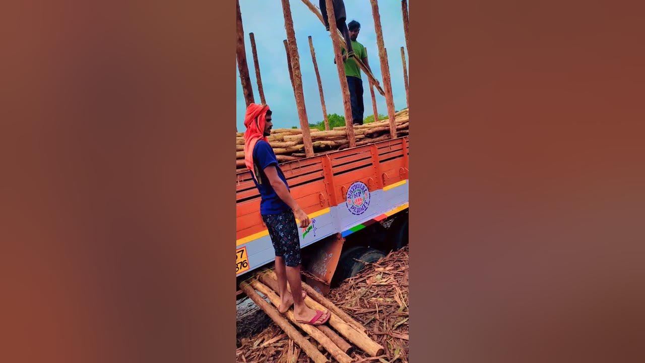 Lakdi Ka Kaam Karne Wala In English Translation Lakdi Ka Kaam Karne Wala In English Translation