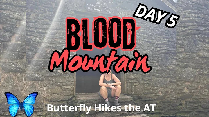 🦋 Day 5 Hiking the Appalachian Trail | 2025 | Lance Creek to Neels Gap