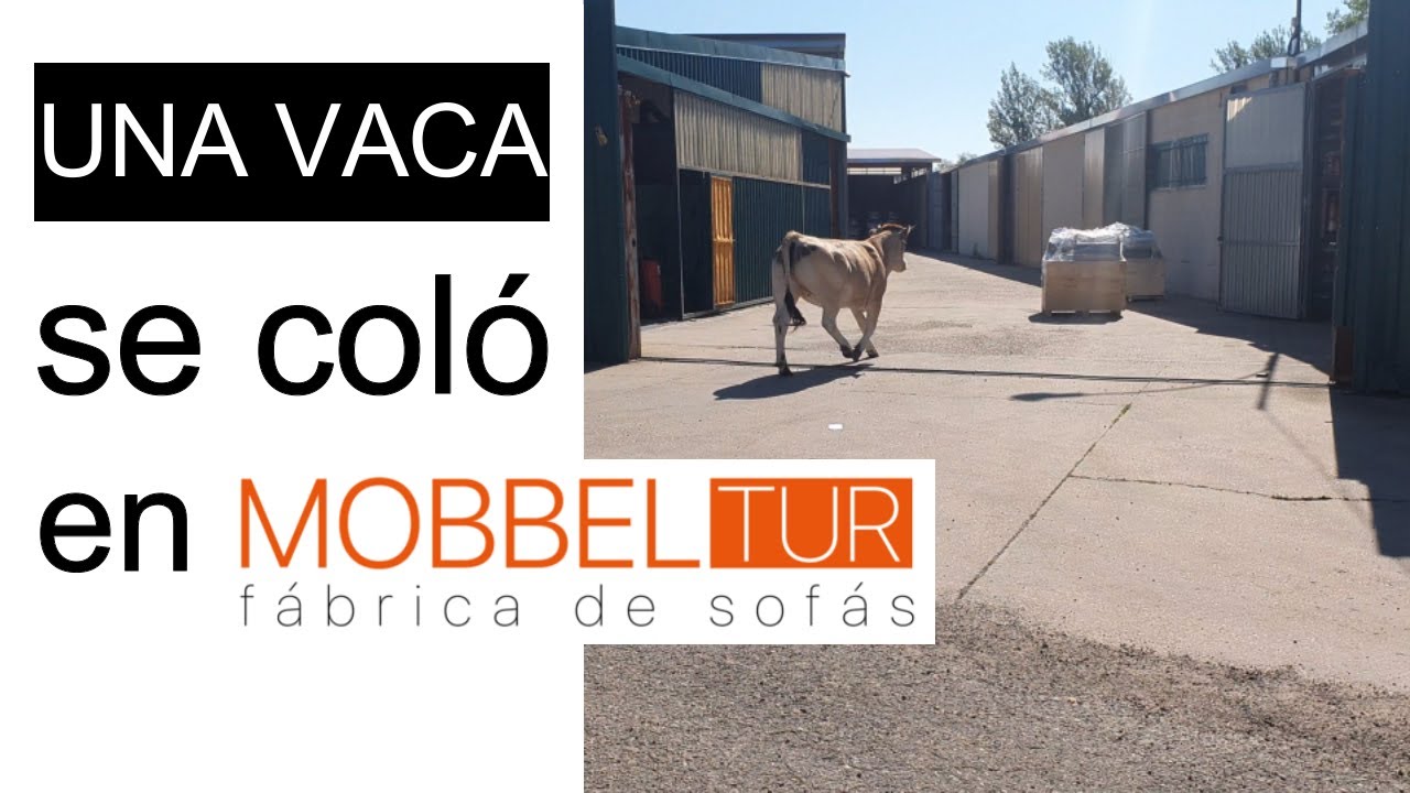 COMO MEJORAR un SOFÁ con relax o reclinable | VACA en la fábrica de sofás  MOBBELtur, by MATÍA sofás - YouTube