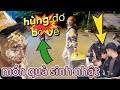 Vi Tiểu Bảo Nịnh Chanh Chanh Đuổi Hùng Đơ Về Trong Sinh Nhật Đức MG