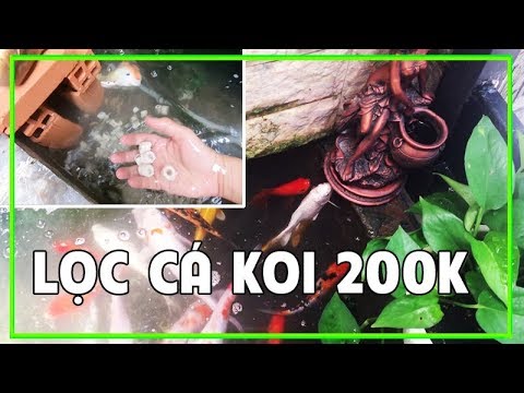 Video Lọc Nước Hồ Cá Koi Ngoài Trời Tự Chế chỉ 200K mà rất... - youtube