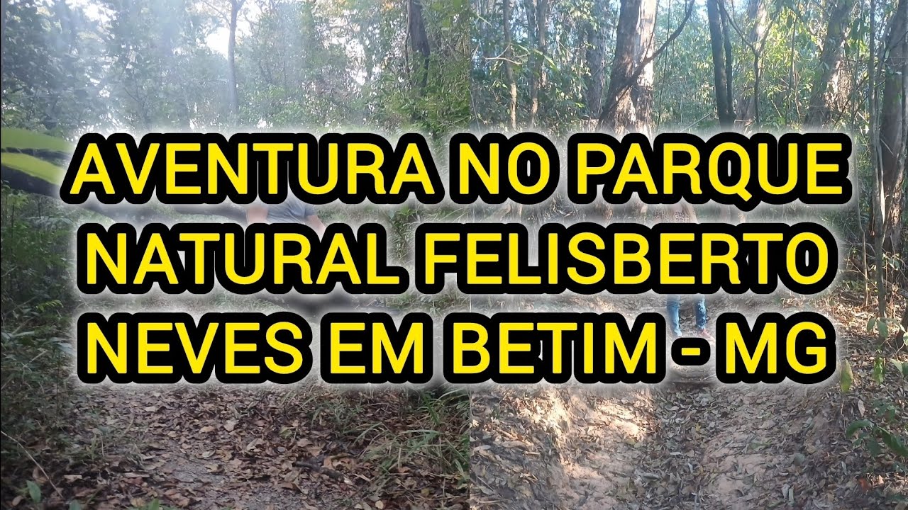 Aventura no Parque Natural Municipal Felisberto Neves em Betim.