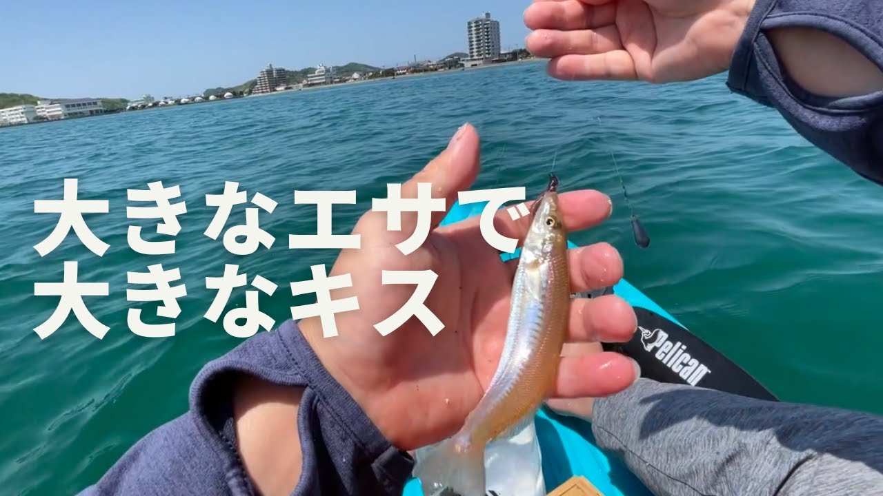 小ケブ丸々1本掛けで大きなキスを狙え - YouTube