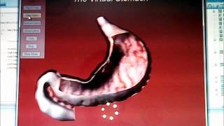 Virtual Stomach.wmv screenshot 5